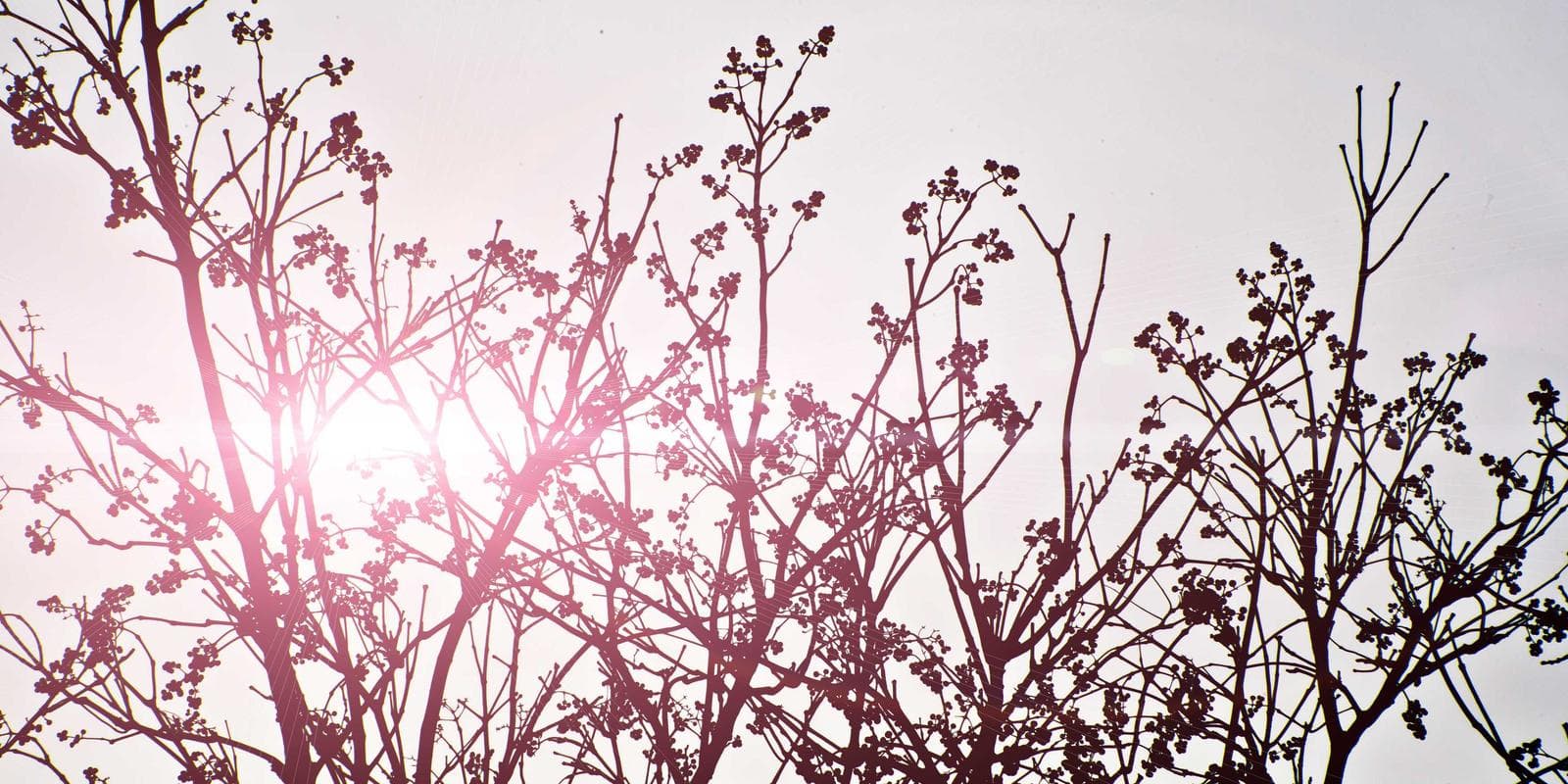 Kids Toys Collection